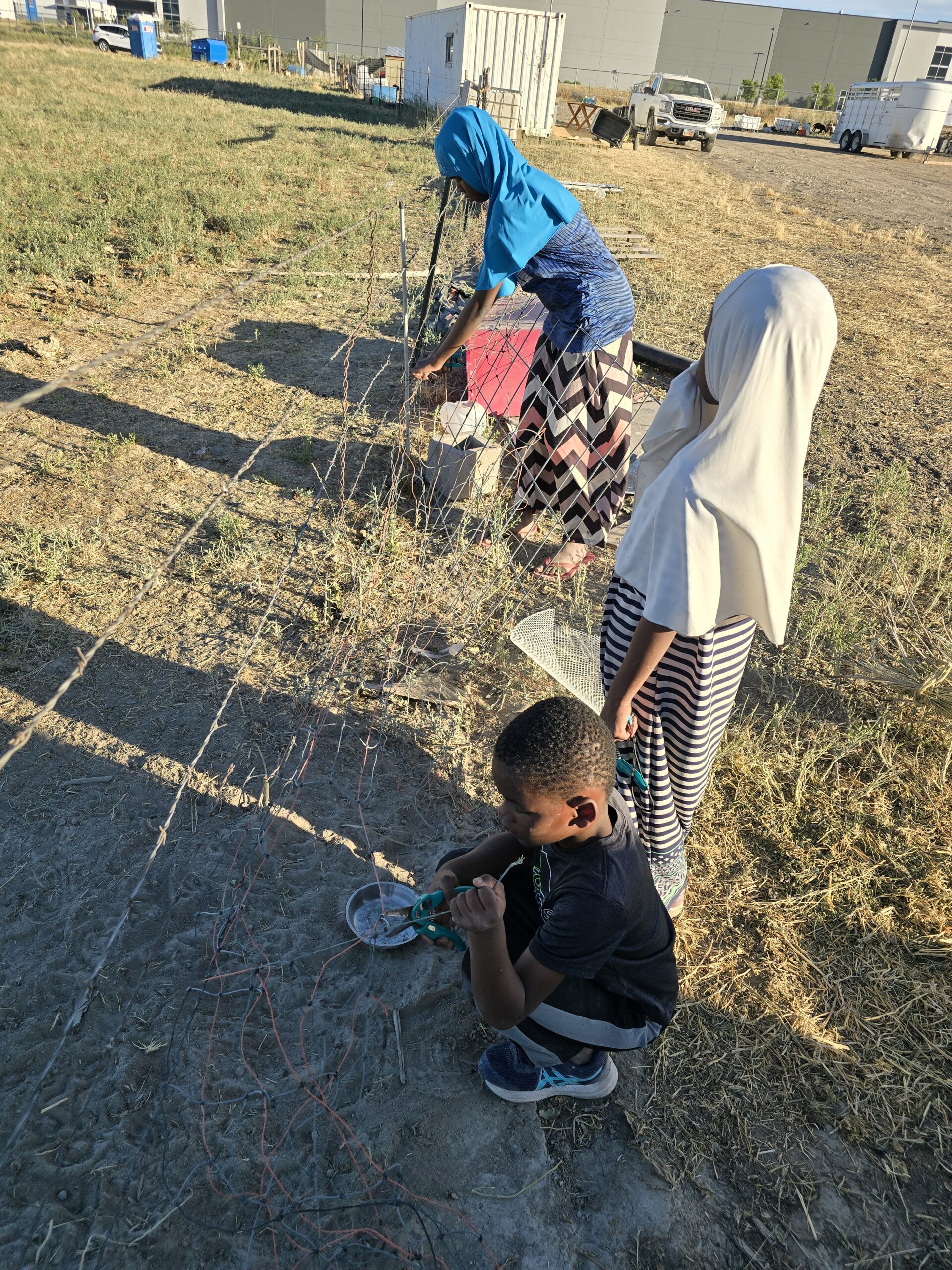 Farm visit