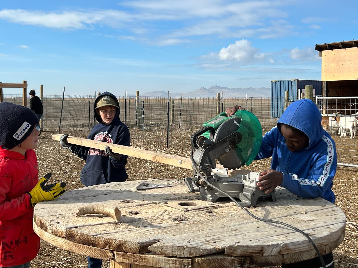 Community education