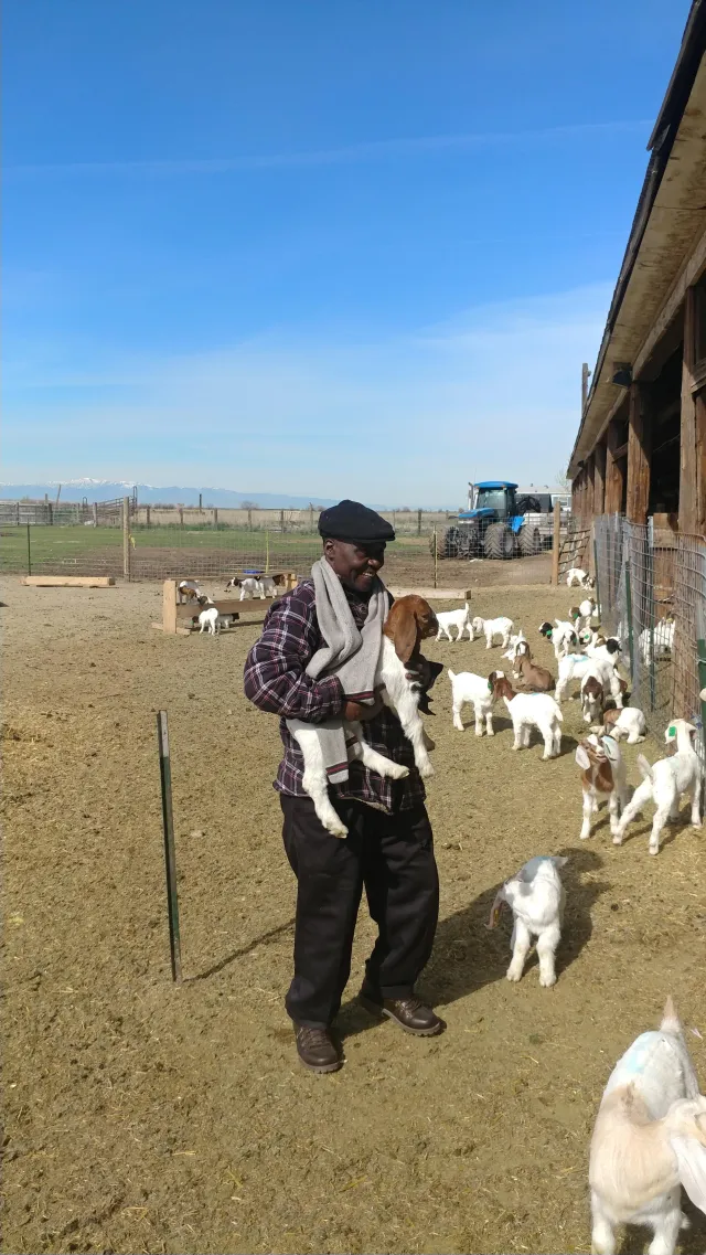 Farm life