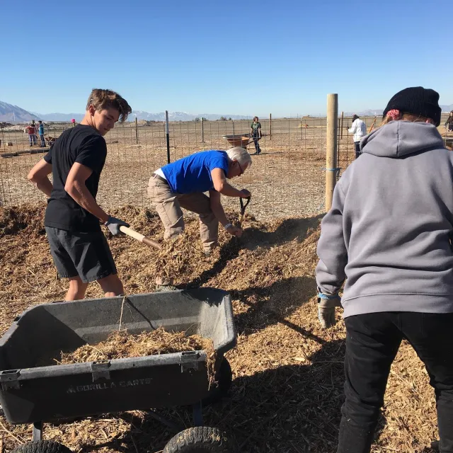 Volunteer work