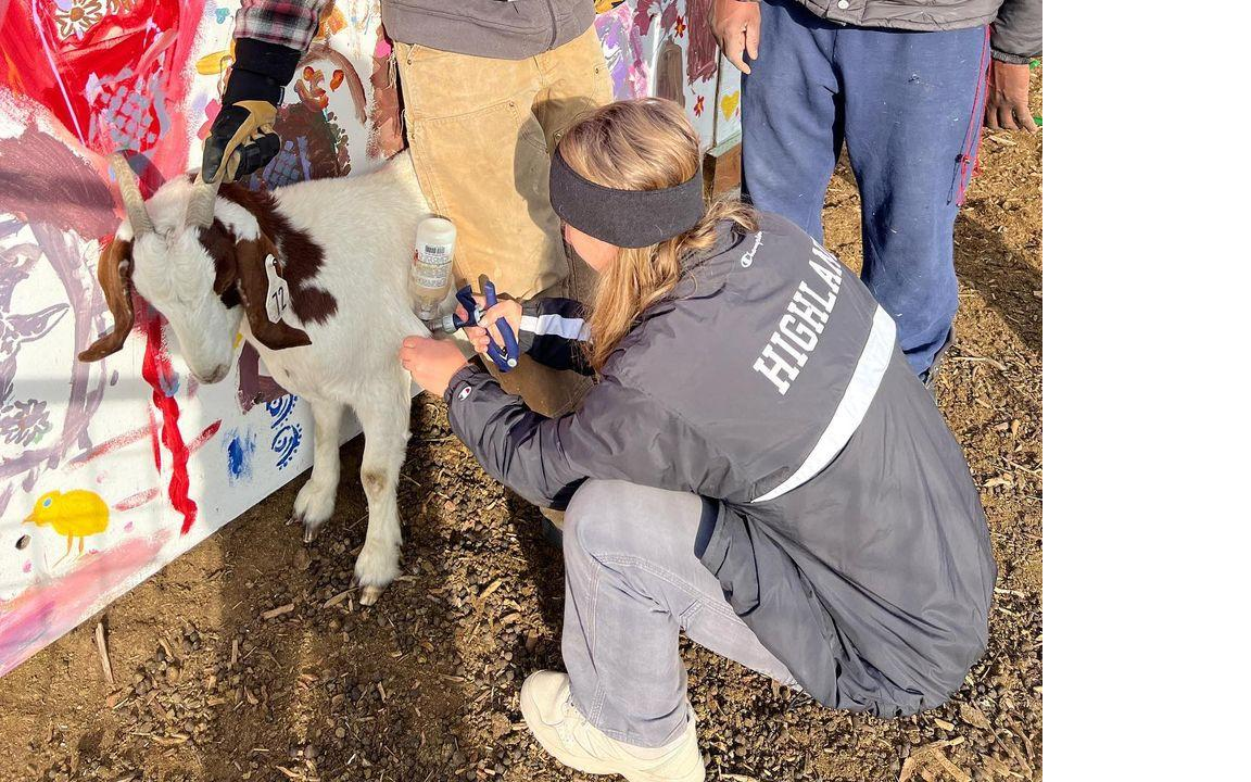 Volunteers on farm