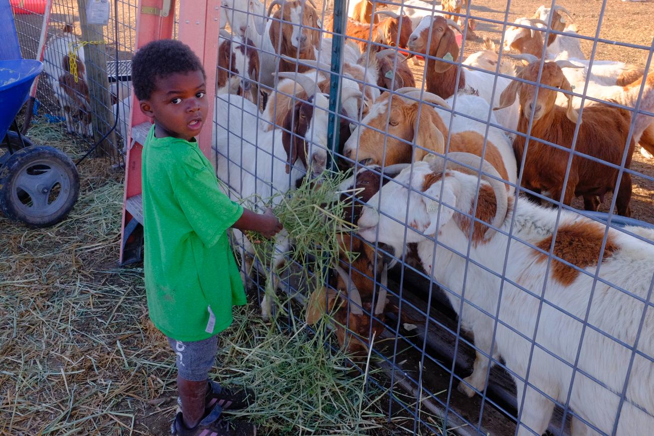 Farm community