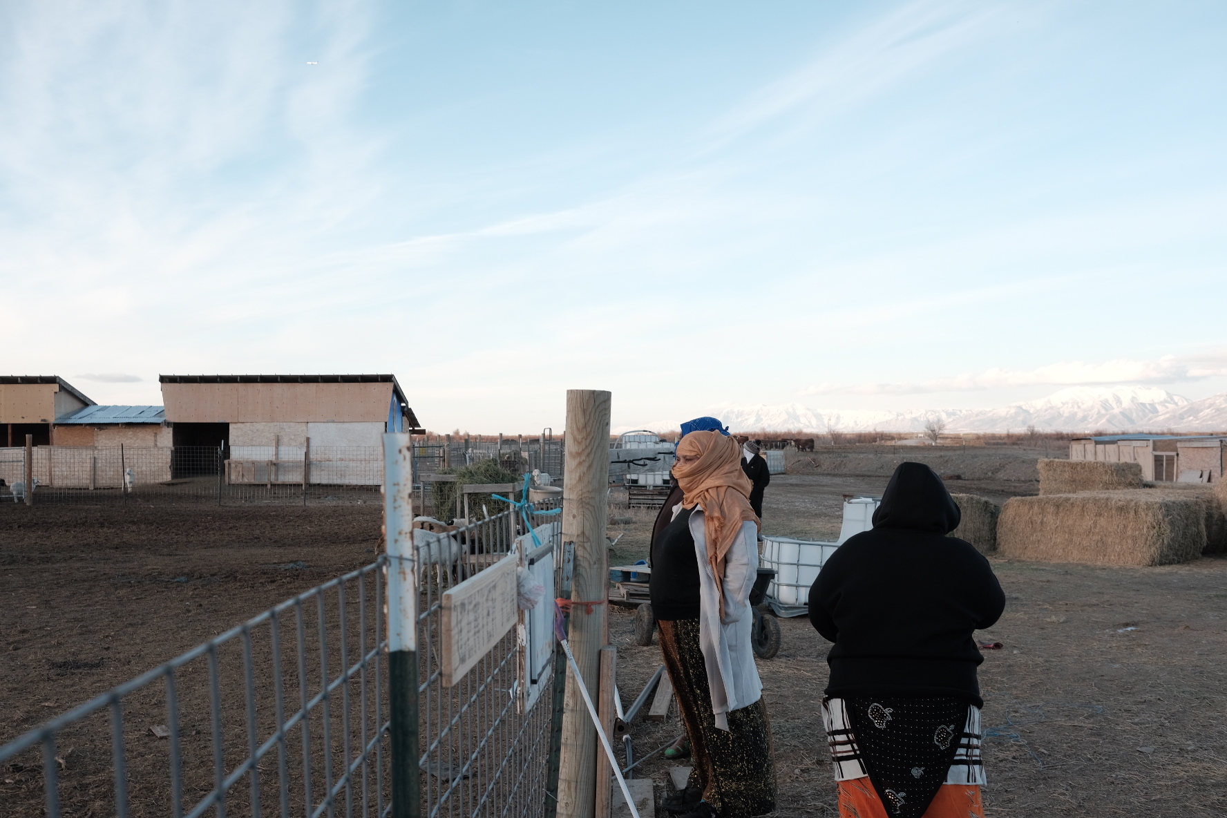 Photo Jan 18 2025, 4 56 03 PM