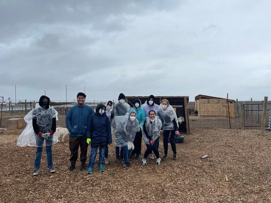Families visiting Utah Refugee Goats