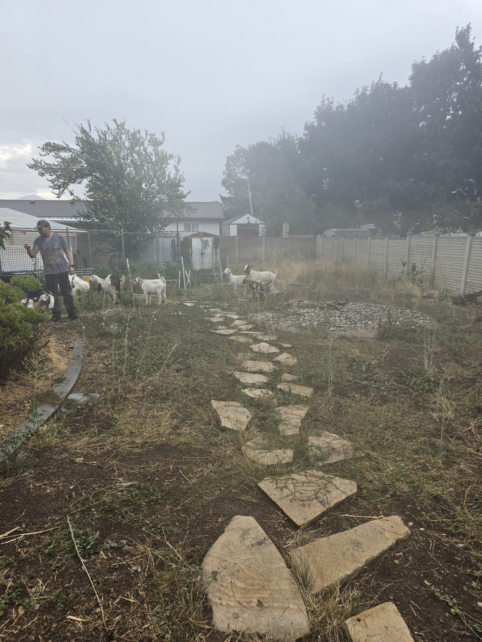 20240817 120440 scaled.jpg