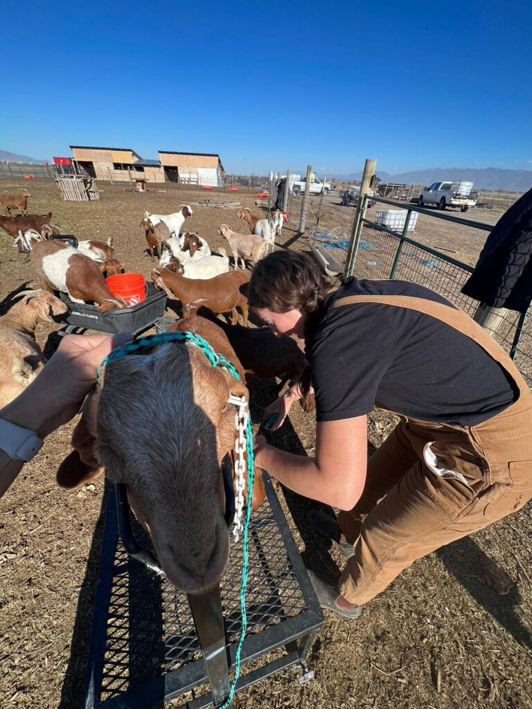 img 20231114 wa0147.jpg