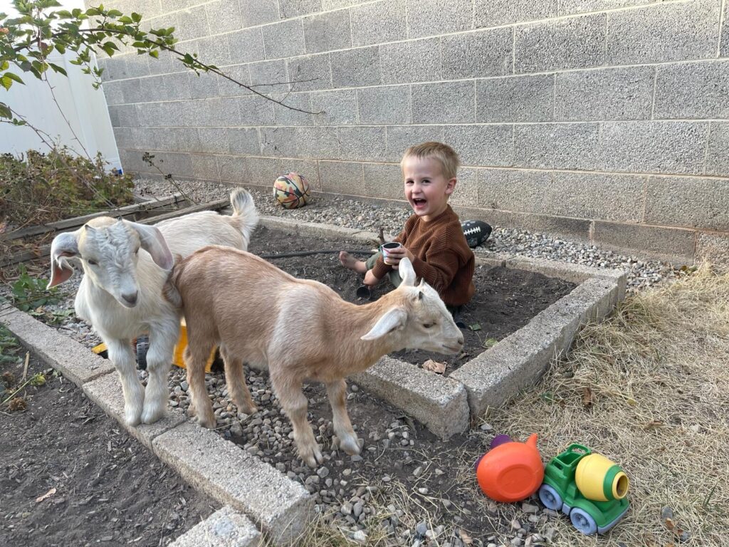 img 20240213 wa0068.jpg