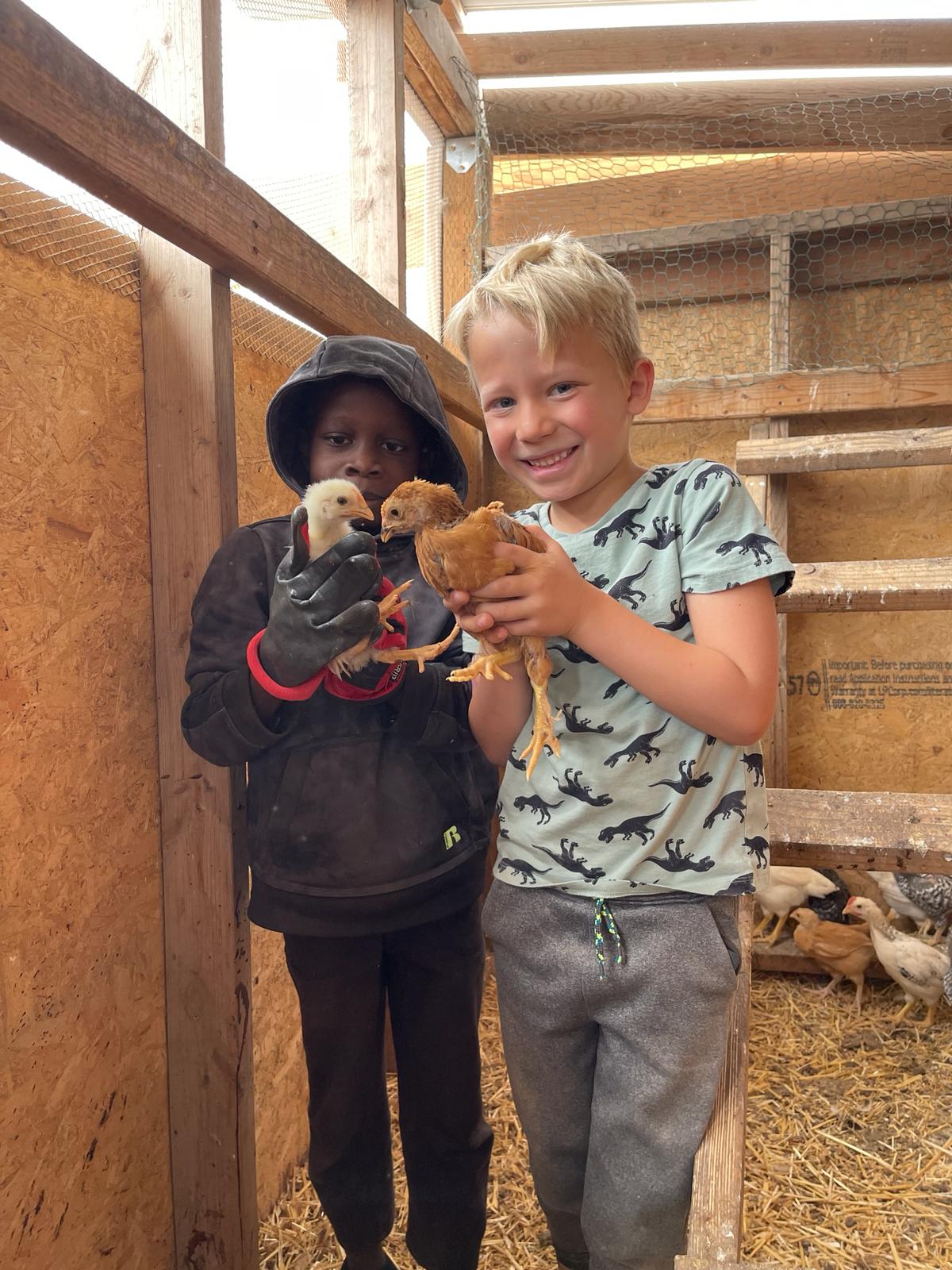 img 20240320 wa0009.jpg