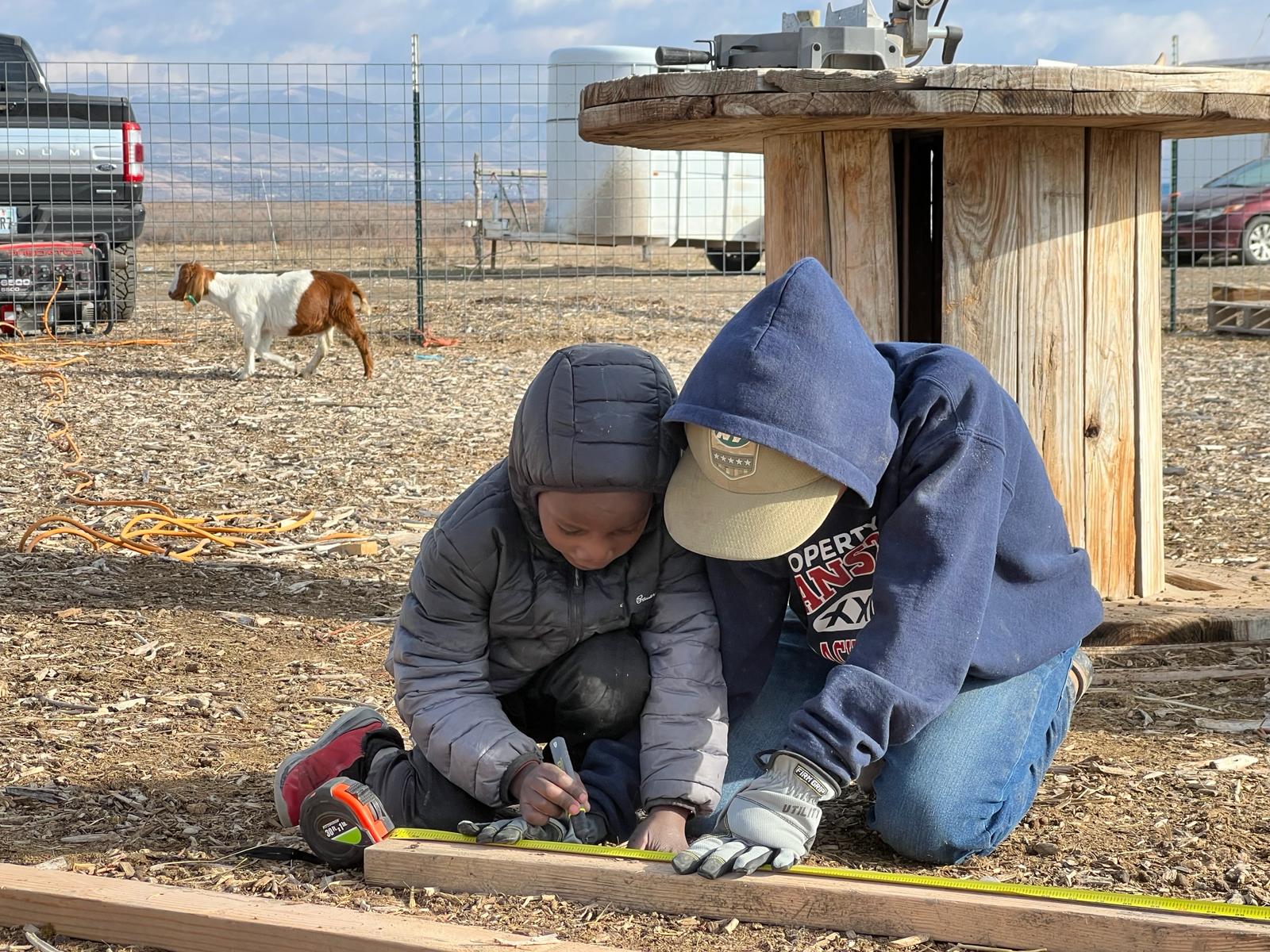 img 20240321 wa0082.jpg