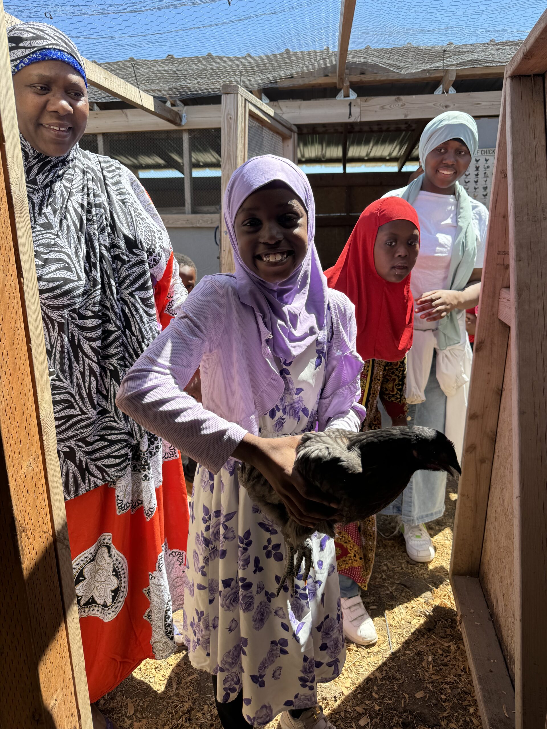 img 1407 1 scaled.jpg