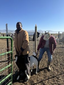 img 7620 225x300 1.jpg