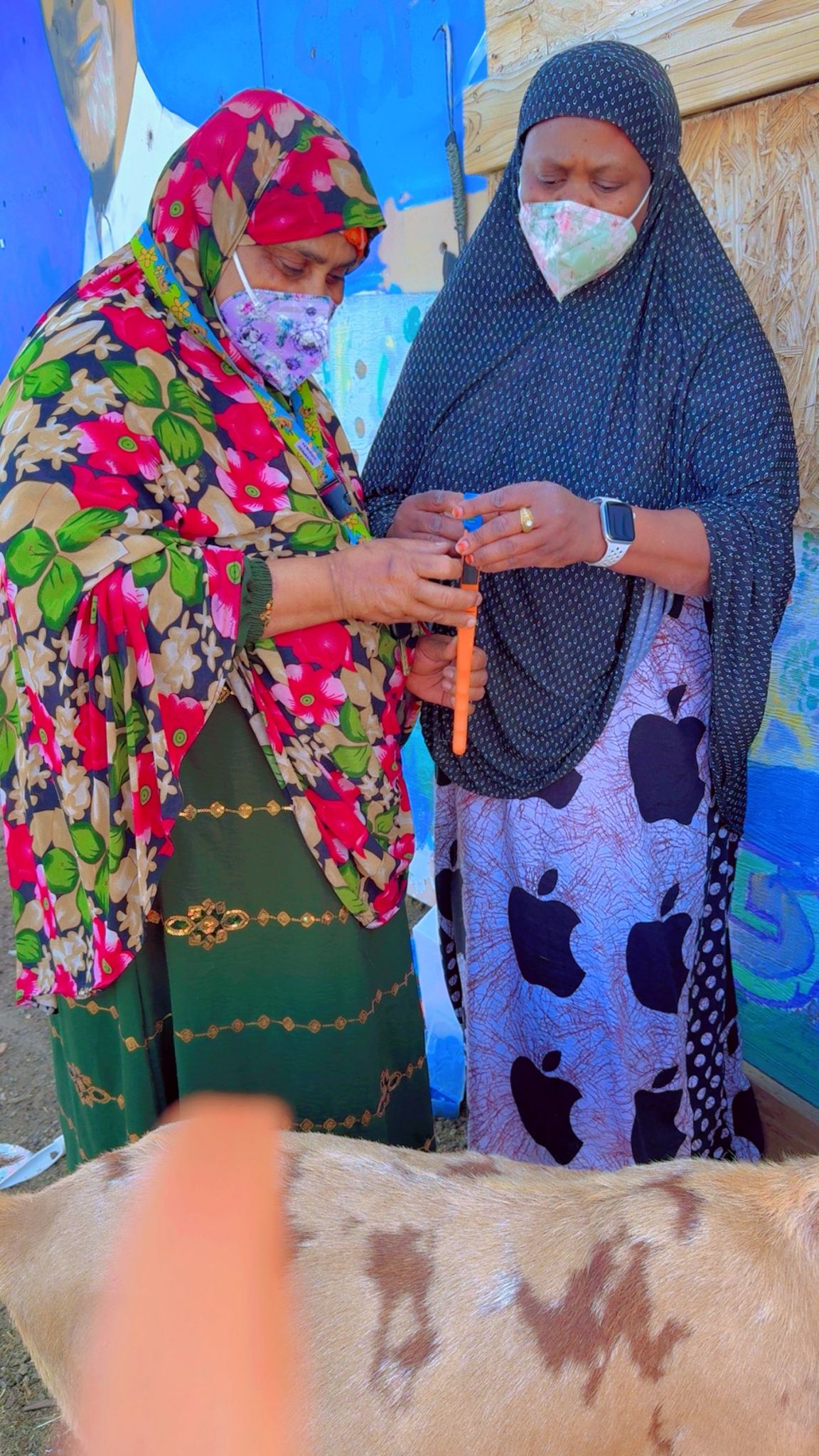 Refugee families learning goat farming