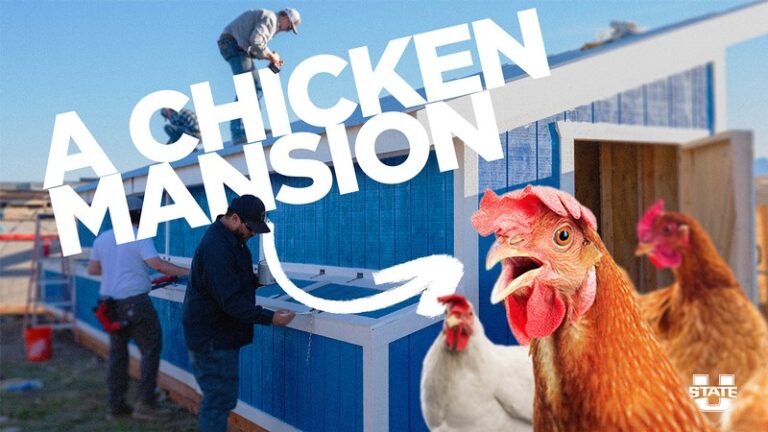 Chicken coop built by Utah State University students for Utah Refugee Goats